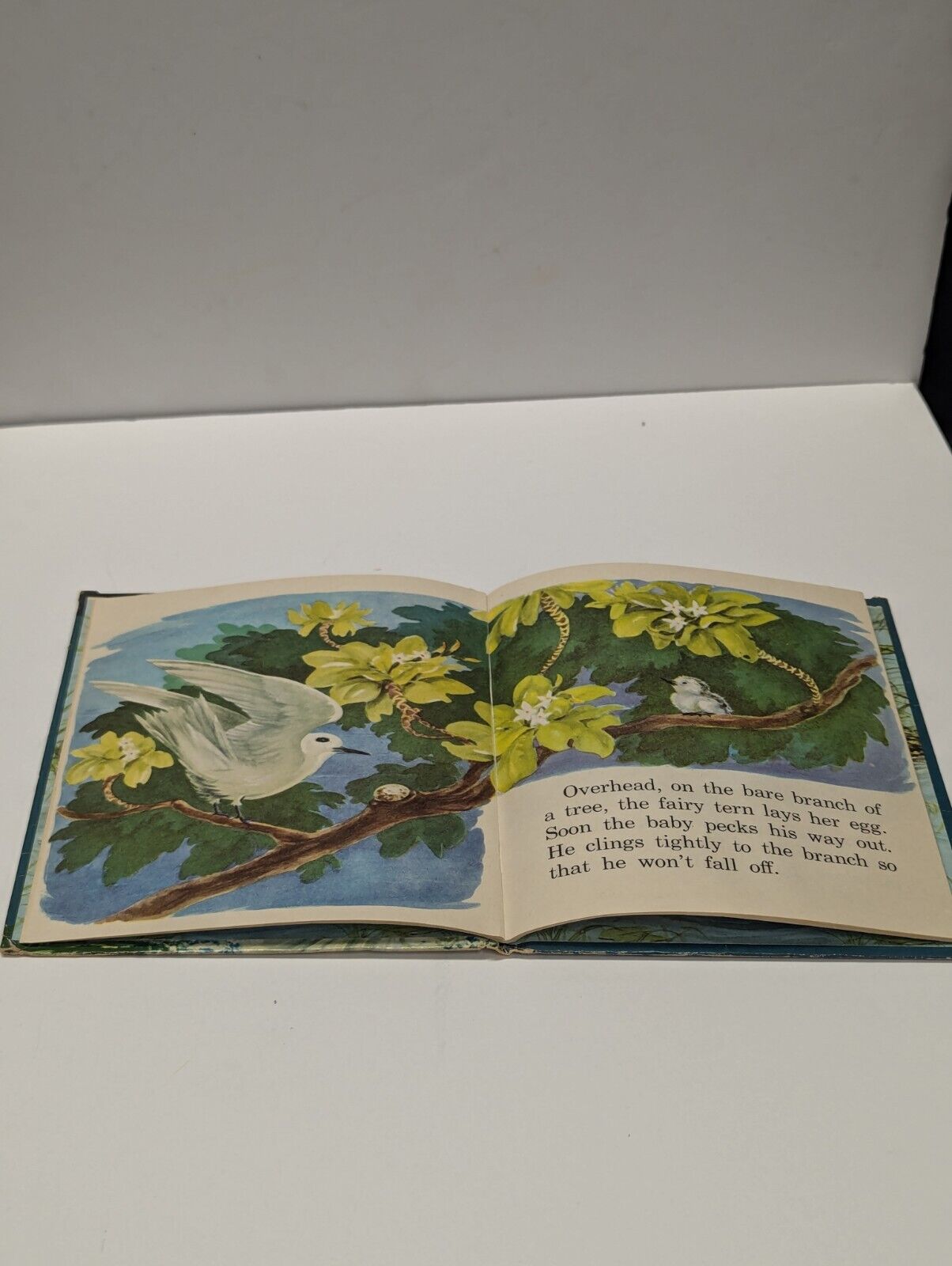 1955 Walt Disney's Water Birds TRUE-LIFE ADVENTURES Whitman Publishing Co