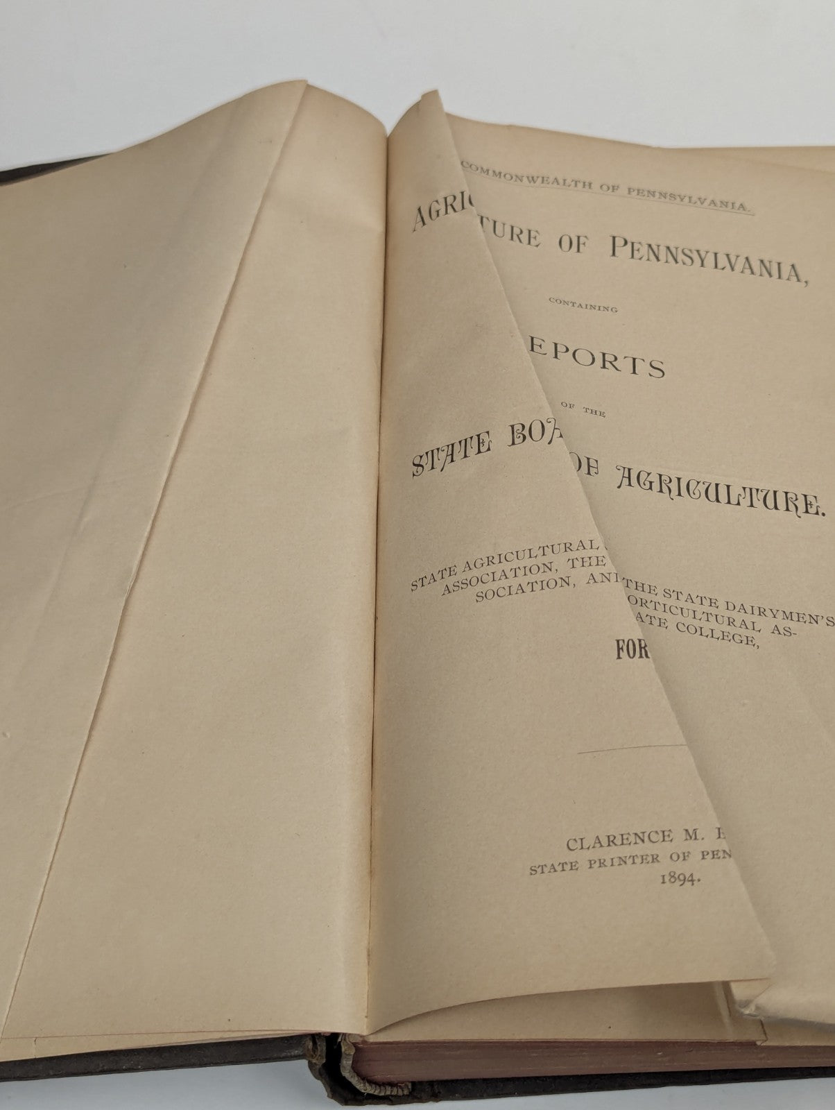 Antique Agriculture of Pennsyvania 1894 Book Hardcover