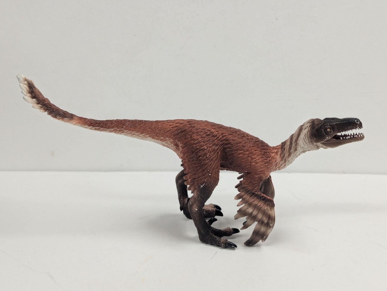 Mojo Toys: Troodon w/Articulated Jaw MJ-387389