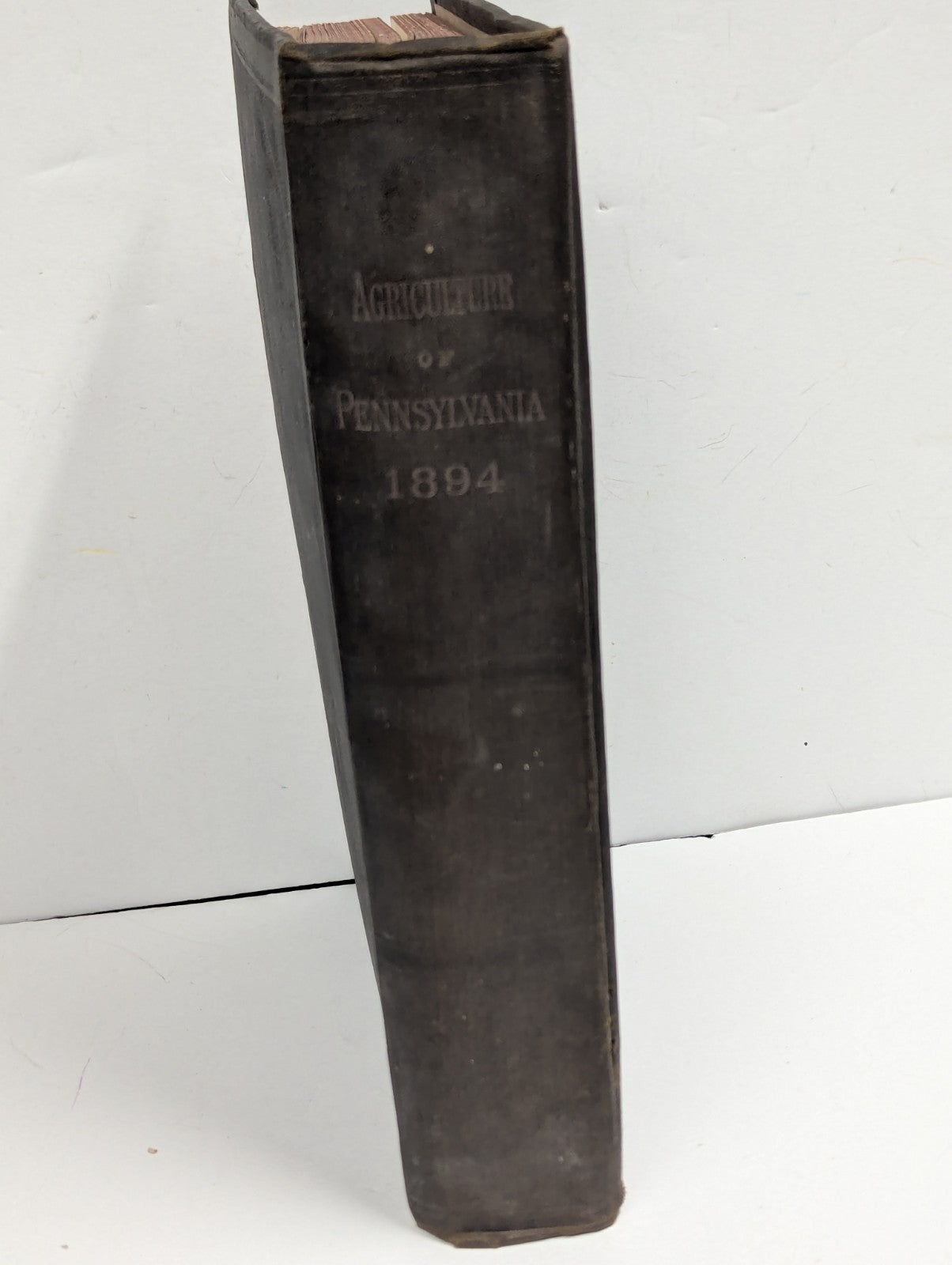 Antique Agriculture of Pennsyvania 1894 Book Hardcover
