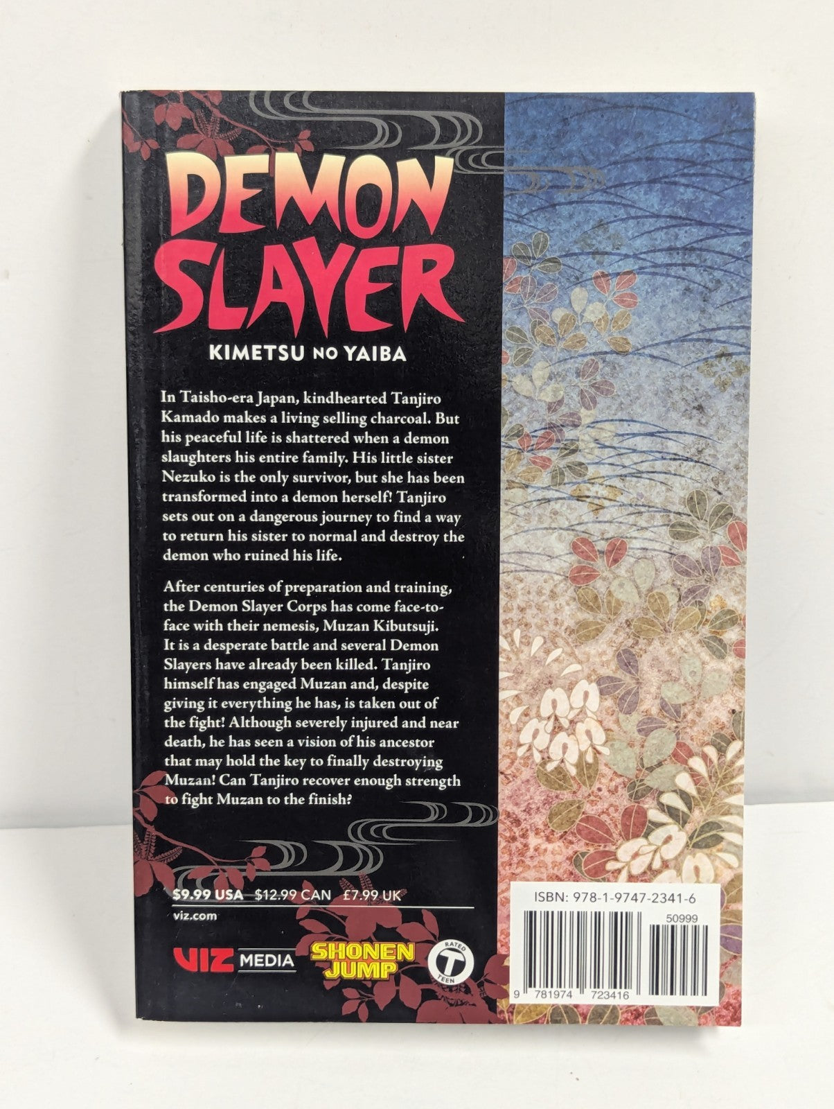 Demon Slayer: Kimetsu No Yaiba, Vol. 22