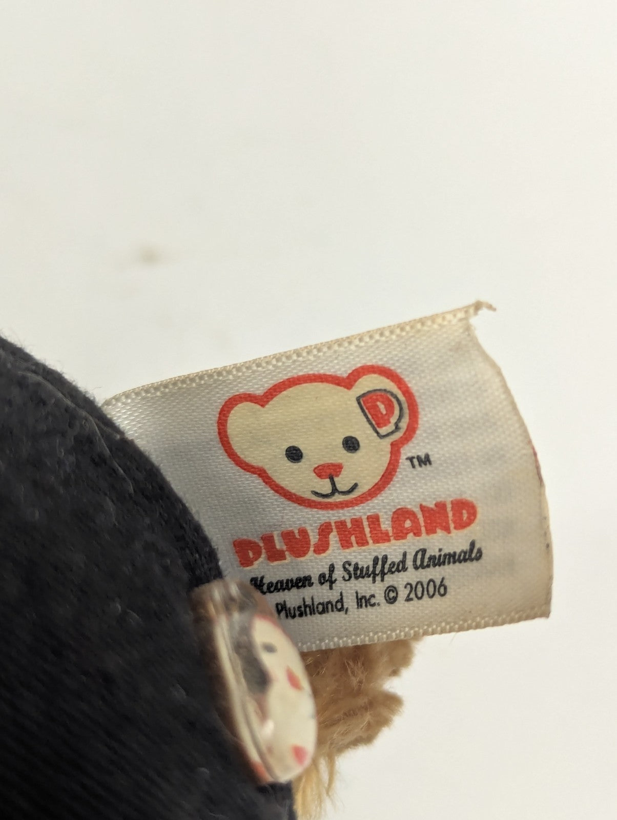 2006 Plushland Thanksgiving Pilgrim Bear March of Dimes Plush 6"