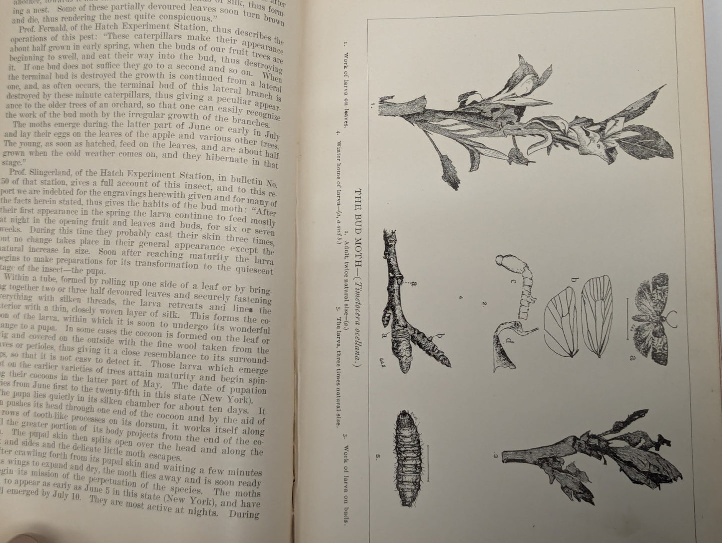 Antique Agriculture of Pennsyvania 1893 Book Hardcover