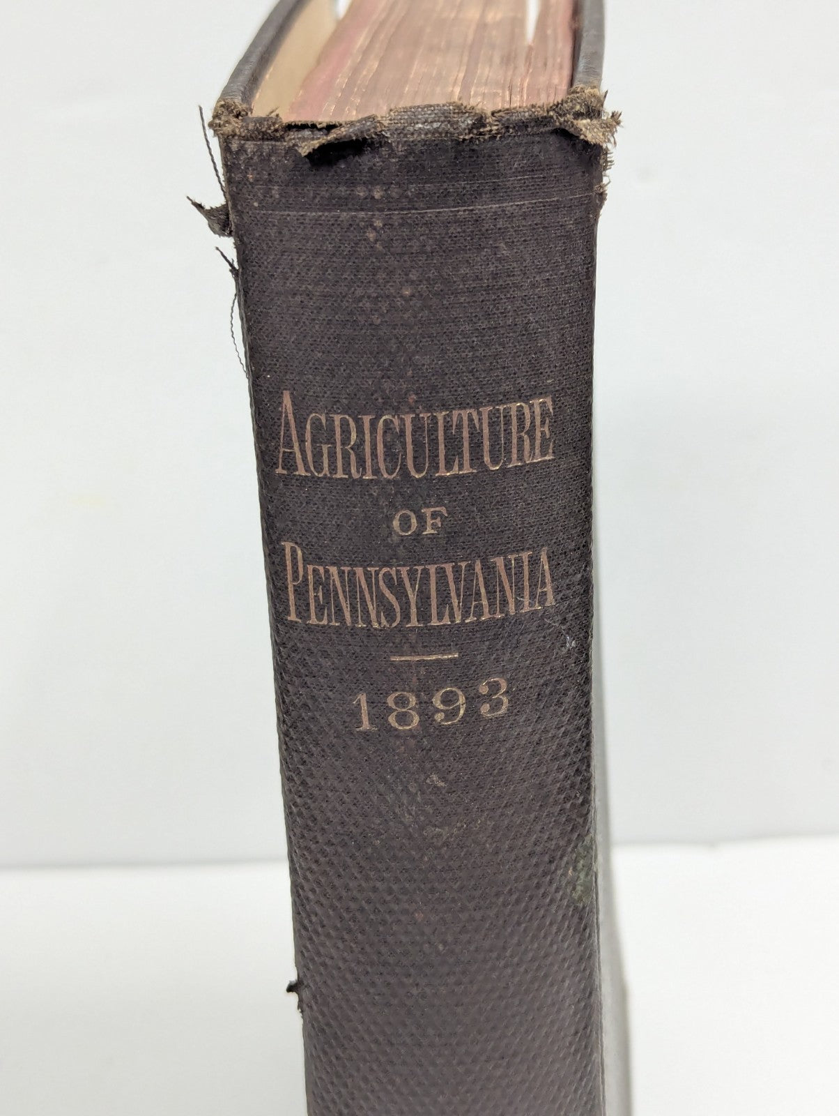 Antique Agriculture of Pennsyvania 1893 Book Hardcover