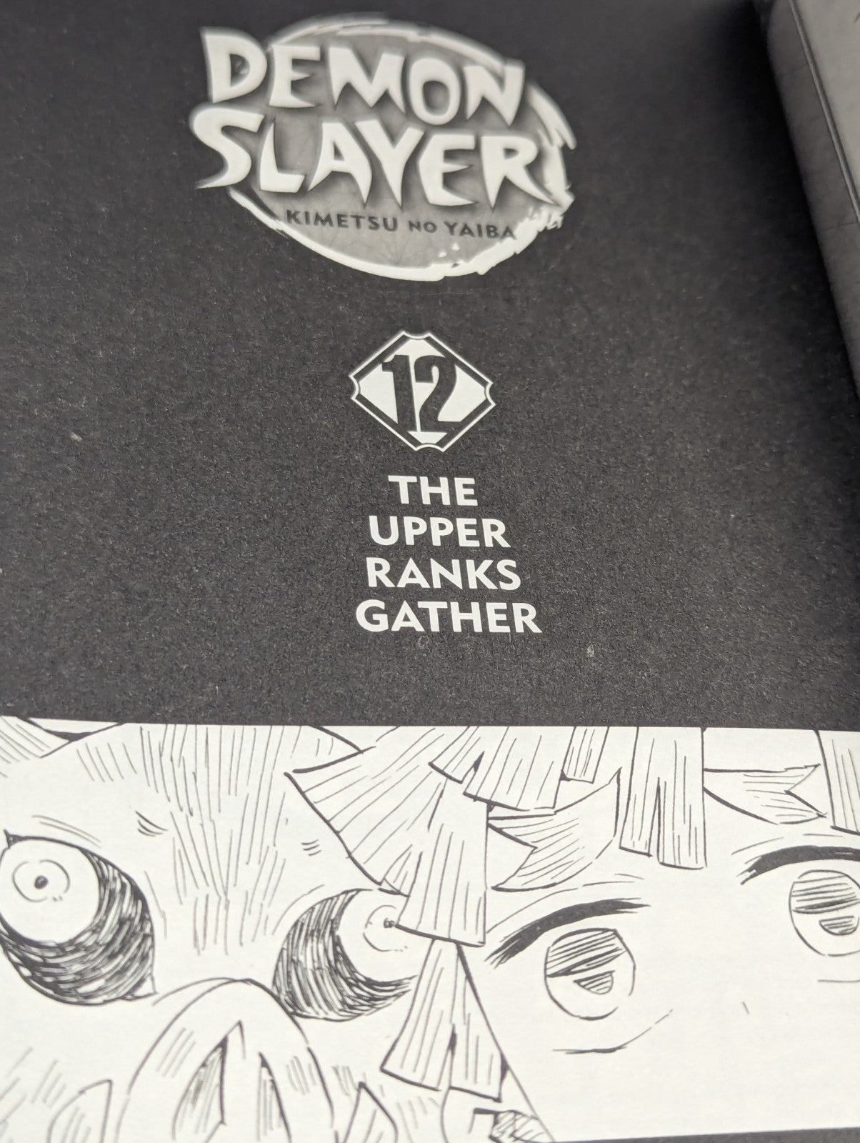 Demon Slayer: Kimetsu No Yaiba Volume 12 - Manga Comic Book [English]