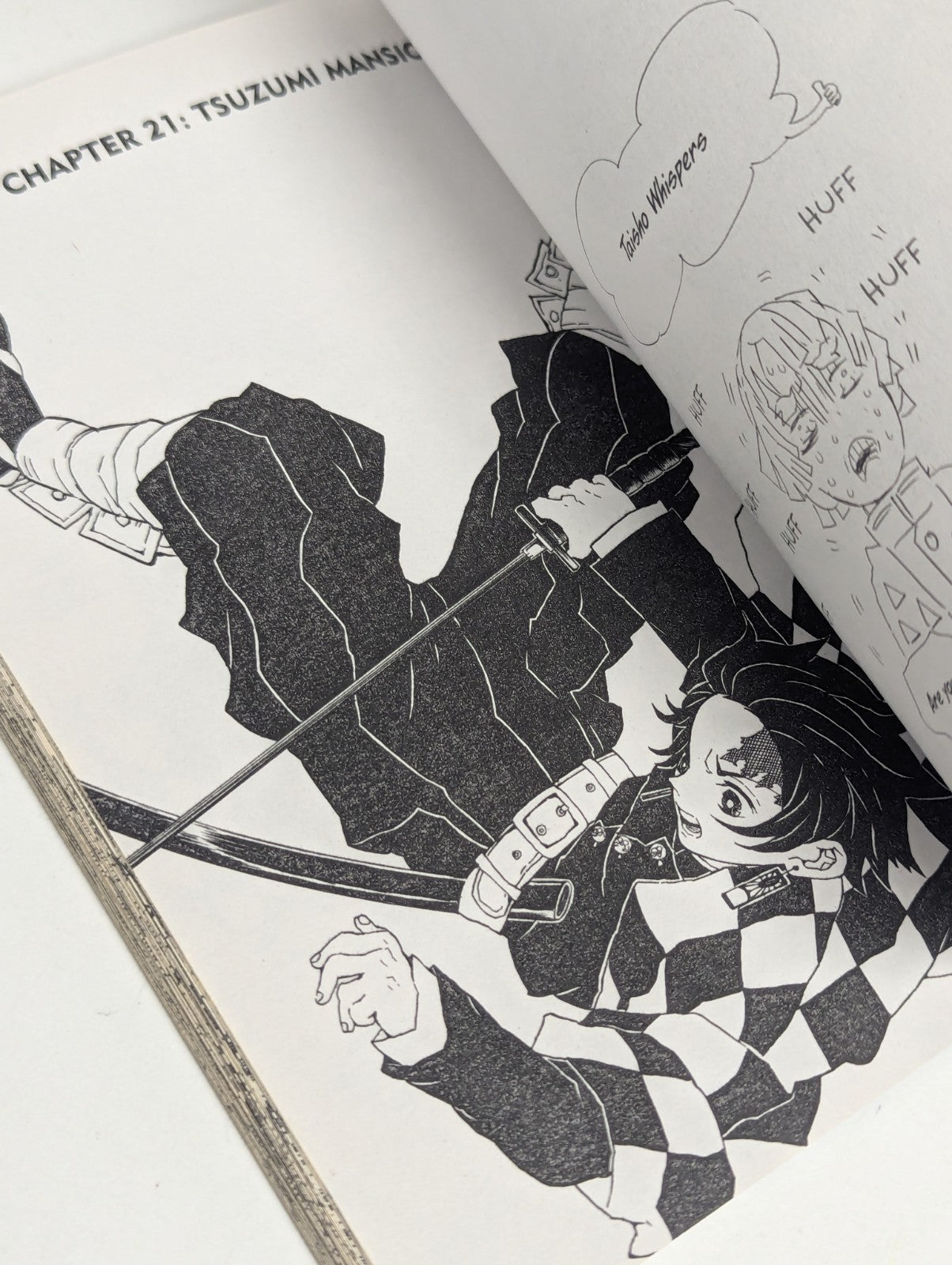 Demon Slayer: Kimetsu No Yaiba #3 (Viz November 2018)