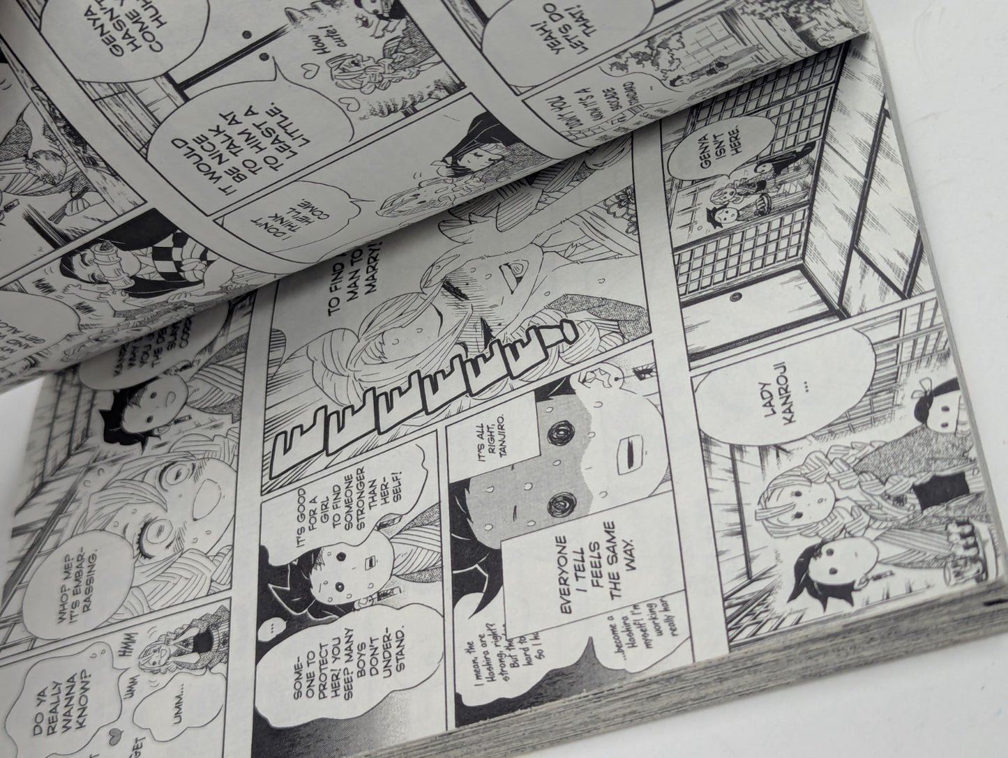 Demon Slayer: Kimetsu No Yaiba Volume 12 - Manga Comic Book [English]