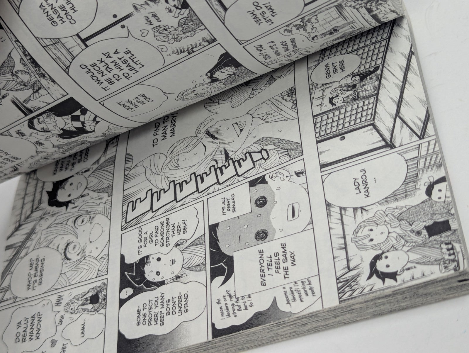 Demon Slayer: Kimetsu No Yaiba Volume 12 - Manga Comic Book [English]